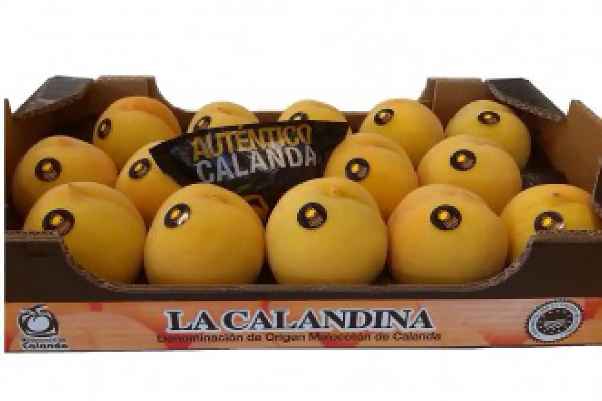 Melocotón de Calanda con DO