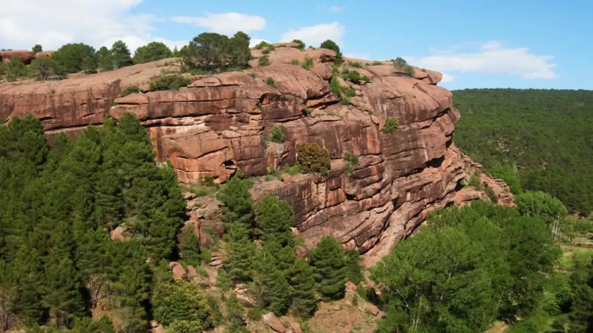 Pinares de Rodeno — bosque de pinos rojos en Teruel