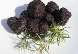 Trufa negra de Sarrión Teruel